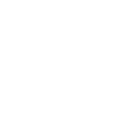 ApexPro-Logo-Weiss-2.png
