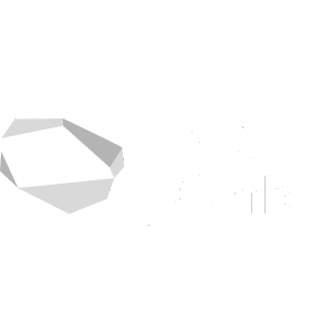 BFS-GmbH-Logo-Weiss.png