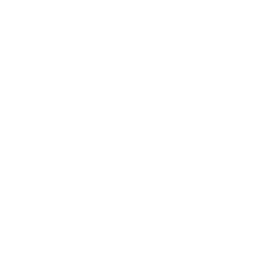 fellower-logo-weiss-500x500-2.png